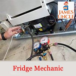 Fridge mechanic Mr. Subhasish Maity in Dhalhara